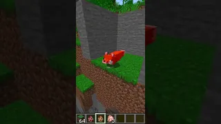 Minecraft: FOX VS CHICKEN Meme #shorts