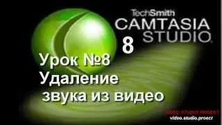 Camtasia Studio  Урок №8 Удаление звука из видео