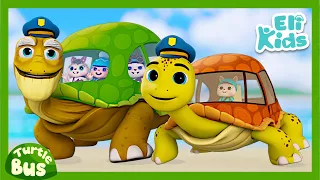 Turtle Bus #3: "Baby Turtle" | Animal Vehicles | Educational Eli Kids Songs & Nursery Rhymes