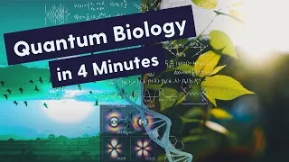 What is Quantum Biology? Quantum Biology Explained in 4 Minutes