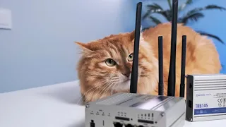 Категории 4G LTE и чем они отличаются😽