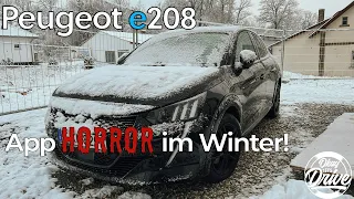 Warum unser e208 im Winter keinen Spaß macht - Teil 1