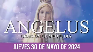 Ángelus de Hoy JUEVES 30 DE MAYO DE 2024 ORACIÓN DE MEDIODÍA