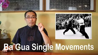 Internal Style Concepts (65): Ba Gua Single Movements