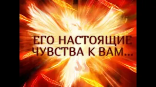 ЕГО НАСТОЯЩИЕ ЧУВСТВА К ВАМ... Таро онлайн Ютуб |Расклад онлайн| Таро онлайн видео