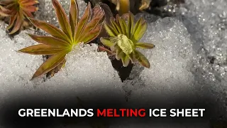 Melting Point: Greenland's Ice Alarm