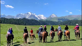 Amazing Horse travel in Xinjiang, China.