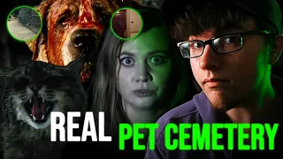 Reacting to REAL PET CEMETERY | Animal Ghost Stories by AmysCrypt