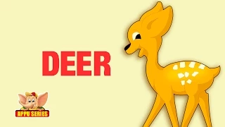 Animal Facts - Deer