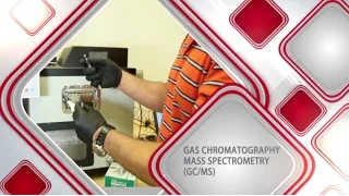 Gas Chromatography/Mass Spectrometry