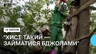 "Хист такий — займатися бджолами": історія бортника з Рівненського Полісся