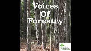 Voices of Forestry Ep. 46 - Vickers Family Tree Farm