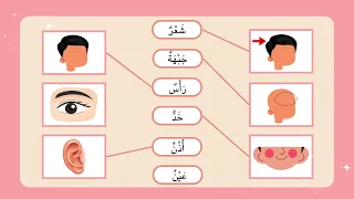 Arabic Body Parts Recap & Matching Game for Kids | Educational Learning Adventure!