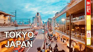 4K TOKYO JAPAN - Ueno Shopping Street Walking Tour | 東京の散歩2021