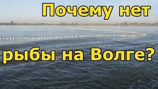 ПОЧЕМУ НЕТ РЫБЫ на ВОЛГЕ | Промысловая рыбалка