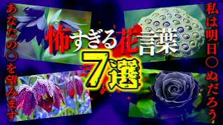 【恐怖】知ったらゾッとする…怖すぎる花言葉7選…。