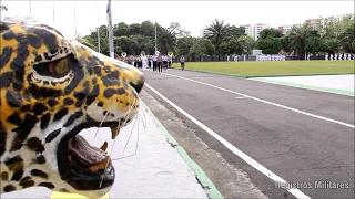 Dia da Vitória 2019 - Comando Militar da Amazõnia