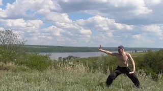 Pigua Quan Basic Practise.