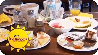 Die Gier am Frühstücksbuffet | SAT.1 Frühstücksfernsehen