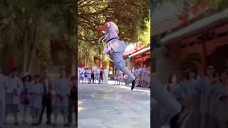 Shaolin kung fu, light kung fu少林真功夫，轻功地躺拳