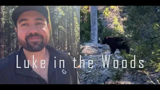 4 Days Solo Camping - BEAR ENCOUNTER, river crossings, and lighthearted banter