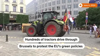 European farmers protest in Brussels ahead of elections | REUTERS