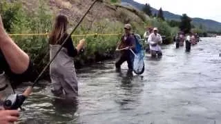 Yost Bunch Strikes Again on Upper Kenai River, AK.Sockeye Fishing June 2013