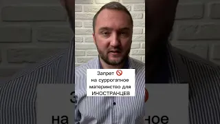 🚫 запрет на суррогатное материнство