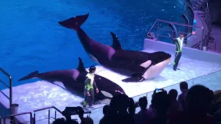 Performance in the Moscow Aquarium