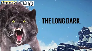 I'm Cold, Hungry, And Being Hunted by Wolves! - The Long Dark - One of the Best Survival Games!