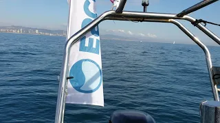 Como usar el Power Trim en una embarcación a motor [Club de navegación Escola Port]