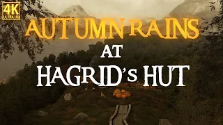 Harry Potter | Rainy Days at Hagrid's Hut: Nature's Serenade