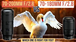 Worth the money??? Lens Battle: Nikon Z 70-180mm vs Z 70-200mm for Travel + Wildlife + Portraits