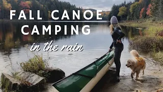 Fall Canoe Camping in the Rain, Algonquin Park