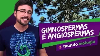 🌿 Botânica (2/5): Gimnospermas e Angiospermas - Biologia - ENEM