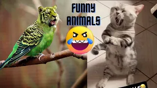 Funniest Animal Video 😂 // number 1 #shorts #funny #dogs