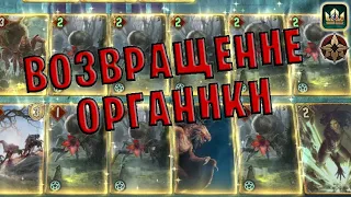 GWENT | НОВАЯ ОРГАНИКА - Стайный разум (Стая главоглазов) — гайд | Гвинт Патч 11.4