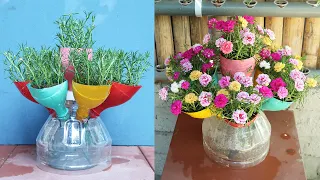 Recycling plastic bottles for gardening grow beautiful Portulaca (Mossrose)