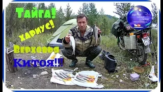 Рыбалка на хариуса! Две ночи в тайге! Верховья Китоя!!!