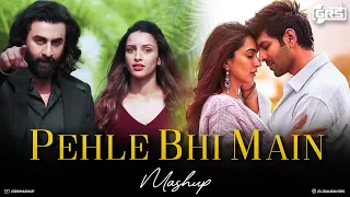 Pehle Bhi Main Mashup - GRS | Animal Songs | Best of Vishal Mishra | Naseeb Se | Bollywood Lofi