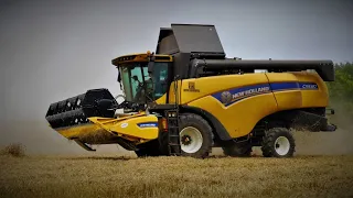 ✩ Żniwa pszenicy 2021 na Mazowszu ✩ New Holland CX6.80 w akcji ✩