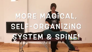 NetworkSpinal Demo - 2020 version