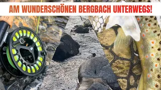 Am wunderschönen Bergbach auf Forellenpirsch!| LJ Fishing Adventures