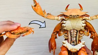 Homemade Armored Crabman Using Crabs 🦀♻️🙏