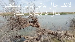 ویڈیو کے اندر لائیو چال دیکھیں