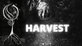 OPETH - HARVEST  ( All guitar and vocal cover, no backing track)