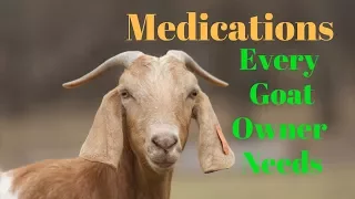 Goat Medications You Should Have At Home