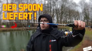 Mit diesem SPOON fängt JEDER! | Forellenangeln im Angelpark an der Luhe