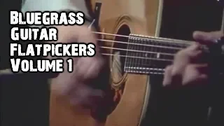 Professional Bluegrass Guitar Flatpickers Compilation 1