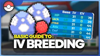 How To Breed For Good IVs in PBF! | Pokemon Brick Bronze